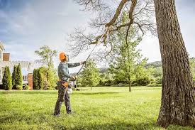 Best Tree Mulching  in Riverside, NY